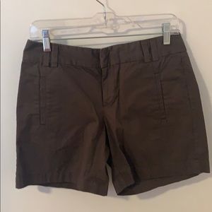 Dark Brown Loft by Ann Taylor Shorts